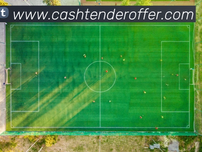 体育数据展示